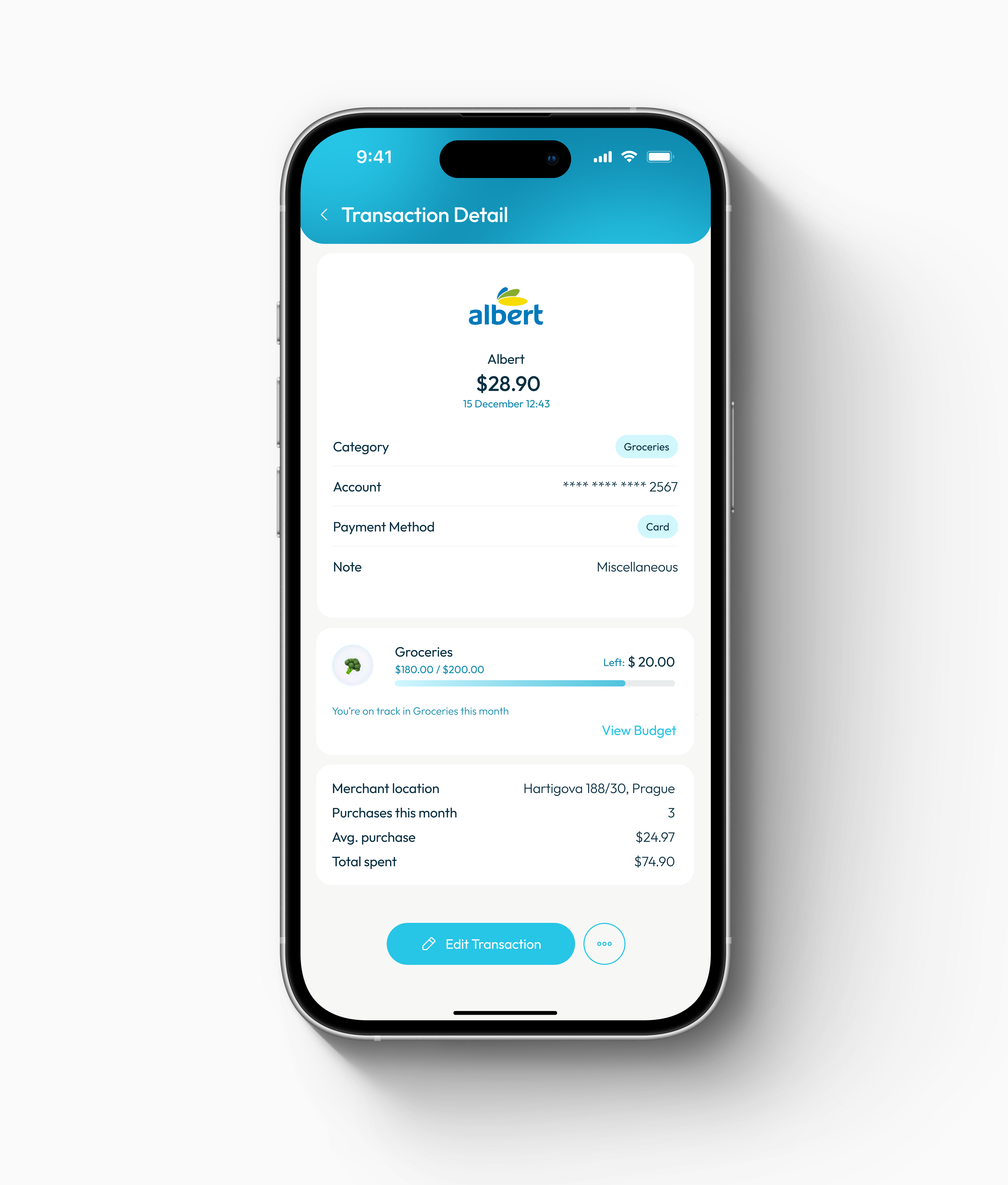 Transaction Detail — budget impact